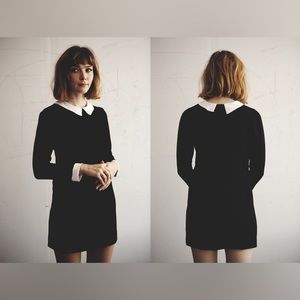 Bird of North America Skimmer Dress